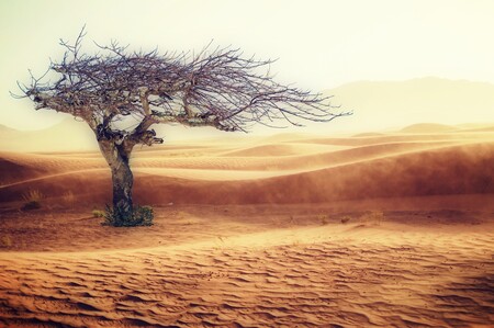 La gran ocasión perdida en la lucha contra el cambio climático es un camino a ninguna parte: usar un aire acondicionado cada vez más inevitable