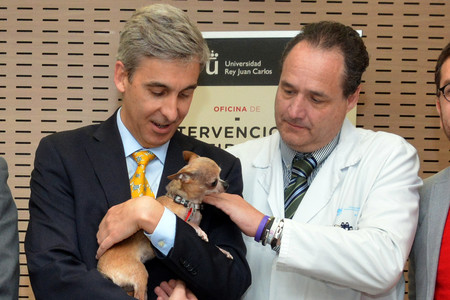 Iaa Con Animales Purina Ii