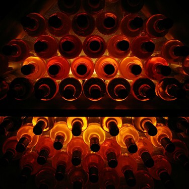 Los sibaritas del vino necesitan esta vinoteca rebajada en Carrefour para almacenar las botellas como es debido