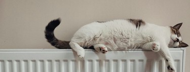 Es mejor apagar la caldera y la calefacción por la noche o dejarla encendida: esto dicen los expertos sobre cómo ahorrar sin perder el confort