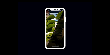 NeuralCam es la nueva app para iPhone que permite tomar fotografías con poca luz