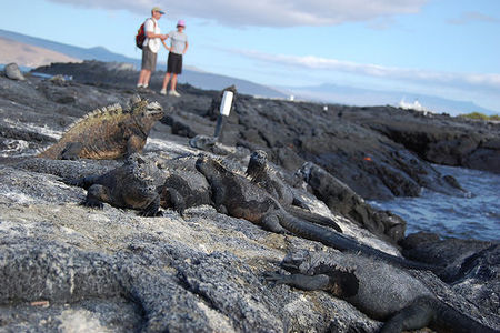 Islas Galapagos