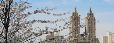 11 fotografías para enamorarte de la primavera en Nueva York 