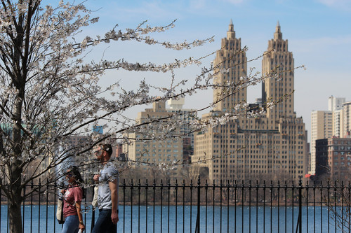 11 fotografías para enamorarte de la primavera en Nueva York 