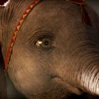 Nuevo tráiler de 'Dumbo', el remake de Tim Burton que hará que te enamores del bebé elefante volador