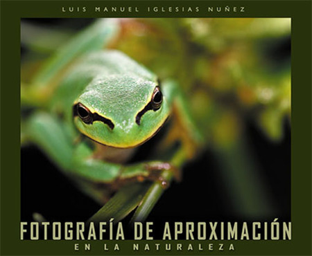 Fotografía de aproximación en la naturaleza