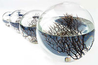Eco Esfera