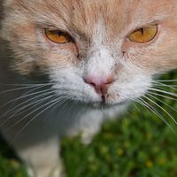 En una entrevista evita la falsa modestia