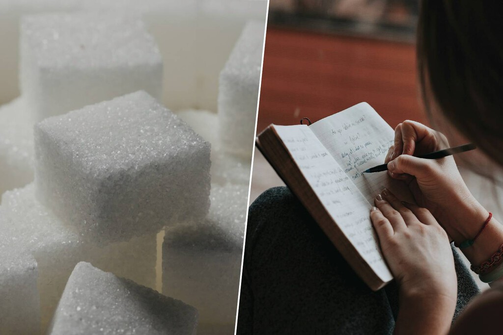 Comer azúcar tras una sesión de estudio, no tan mala idea: lo que un nuevo estudio ha descubierto estudiando a las moscas