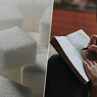 Tras estudiar a unas moscas, unos científicos han llegado a una conclusión: comer azúcar tras estudiar es buena idea