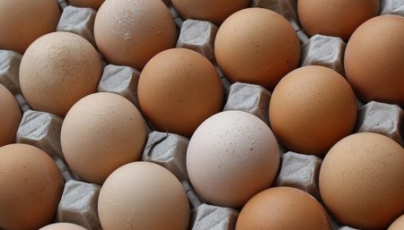 Los huevos ayudan a perder peso además de ser una buena fuente de proteínas