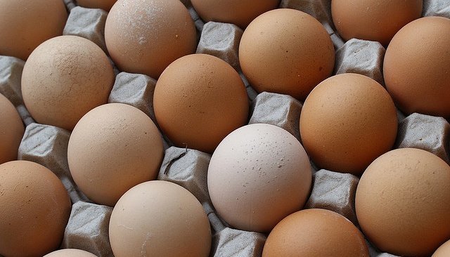 huevos.jpg