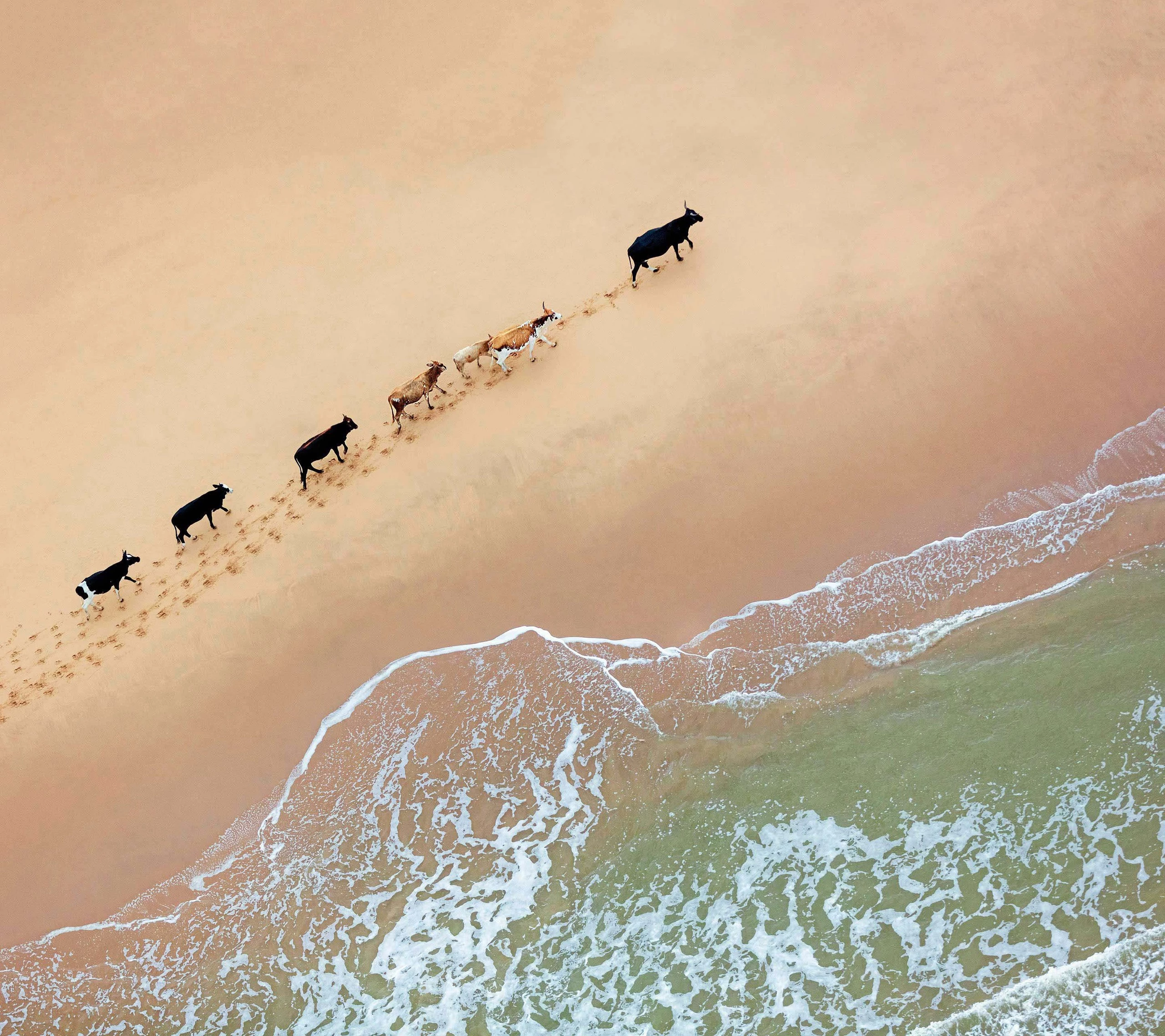 Foto de Fondos de Nexus (1/13)