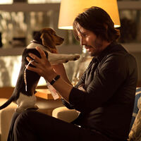 John Wick fue un éxito gracias a la mala memoria de Keanu Reeves: no logró recordar una palabra 