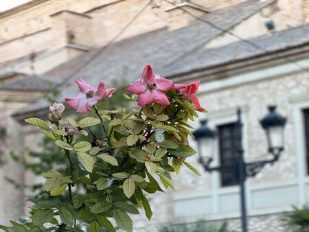 telefoto iPhone 18 Pro Max