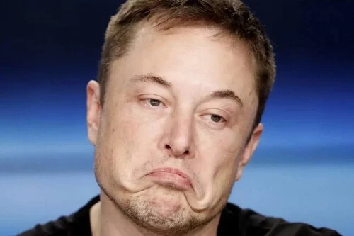Elon Musk Gg