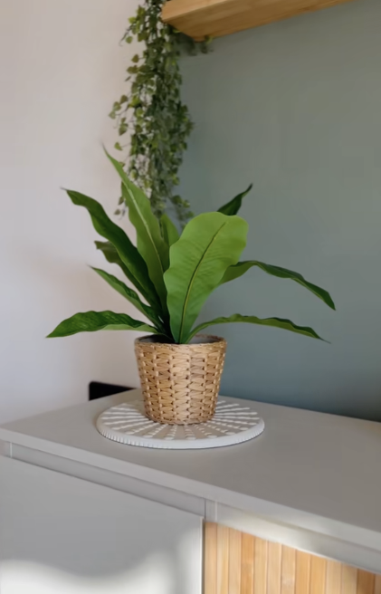 Captura De Pantalla 2025 07 29 A Las 0 00 32