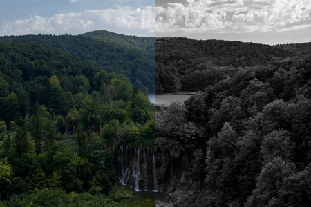 Qué es y cómo utilizar la capa de ajuste 'Blanco y negro' de Photoshop