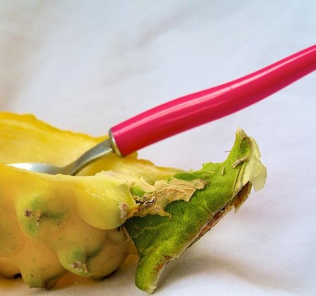 ¿Por qué hay alimentos que gustan a unos y a otros no?