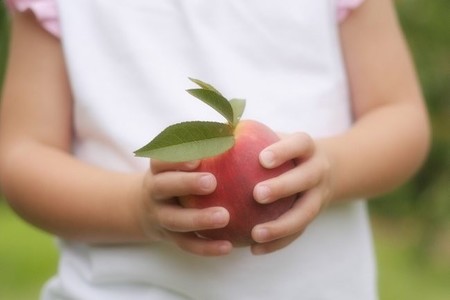 Los minerales que no deben faltar en la dieta de tu niño