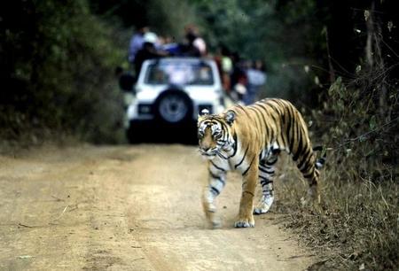 Parque Nacional Ranthambore