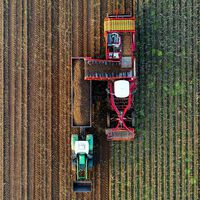 Gastar 387.000 millones de euros y perder 3 millones de explotaciones: si Europa quiere apostar por su agricultura lo está haciendo mal 
