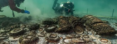 Arqueólogos encuentran en Suiza un pecio romano de 2.000 años cargado de aceite de oliva español y vajillas: “Un hallazgo único”