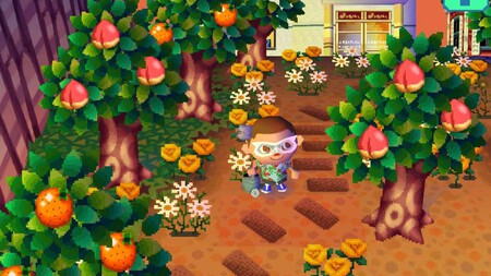 Animal Crossing