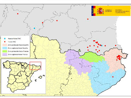 Localizacion De Los Focos Confirmados De Dnc Hasta El Momento En Francia Y Espana 30 12 2025
