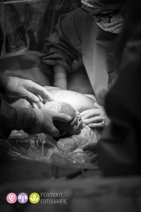 016 Head Born Fermont Fotografie