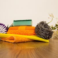 Se você tem esponjas velhas, nada de jogar no lixo: você tem um tesouro para salvar suas plantas