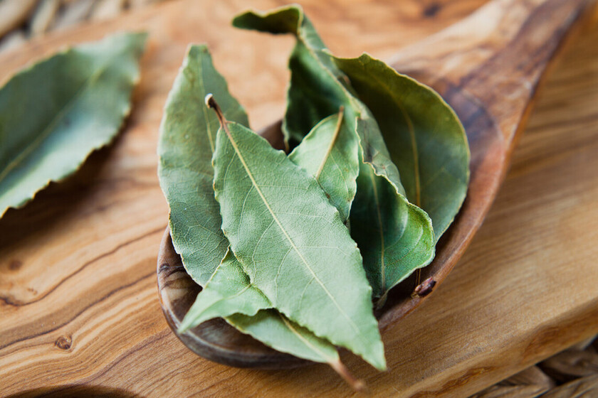 Dap Istock Laurel