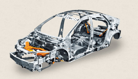 Body Structure And Design