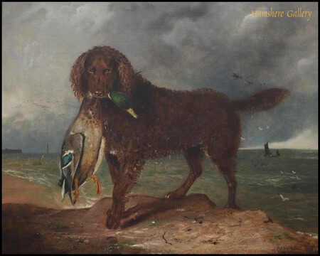 Tweed Water Spaniel