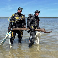 Un lago alemán esconde madera de 10.500 años que reescribe lo que pensábamos de nuestros ancestros