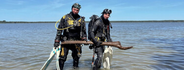 Un lago alemán esconde madera de 10.500 años que reescribe lo que pensábamos de nuestros ancestros