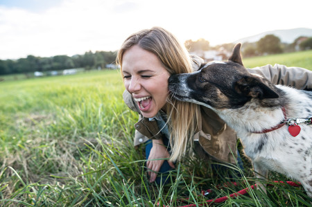 Once beneficios que tu mascota aporta a tu salud