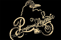 Denuncian a la organización de Pingüinos por daños ambientales