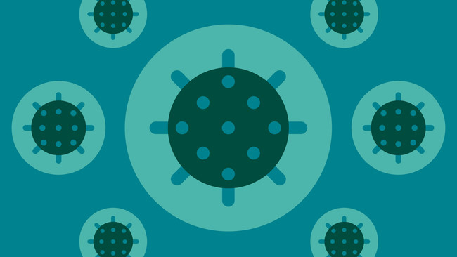 Coronavirus Google