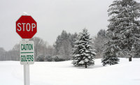 Migraciones invernales de golfistas