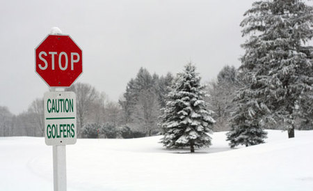 Migraciones invernales de golfistas