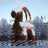 Esta ciudad lleva 58 años levantando una cabra de paja de 13 metros, pero sus vecinos intentan quemarla antes de que llegue Navidad  (y casi siempre lo consiguen)