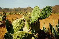 Si nada tengo, nada me pueden quitar