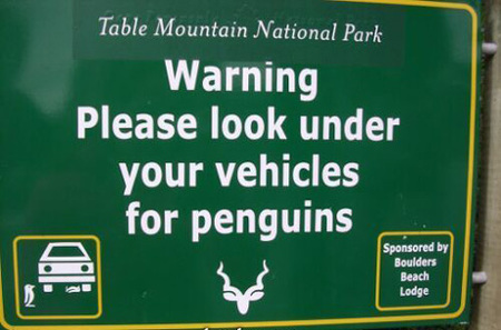 Sudáfrica: Parque Nacional Table Mountain 