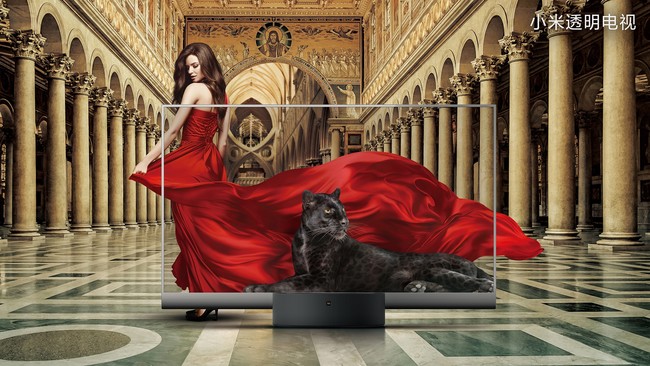 Mi Tv Lux Oled Transparent Edition 014 5