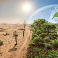 Até 2100, mais de 40% do território da Terra estaria árido. Quais são as regiões mais vulneráveis? 