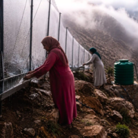 Com o desaparecimento das aldeias e o avanço do deserto, as mulheres em Marrocos escalam montanhas para capturar a neblina e transformá-la em água potável 