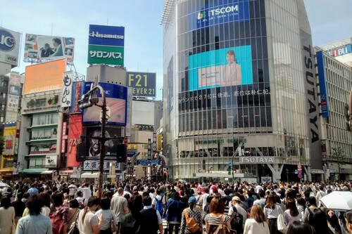 Japan's visitors fee