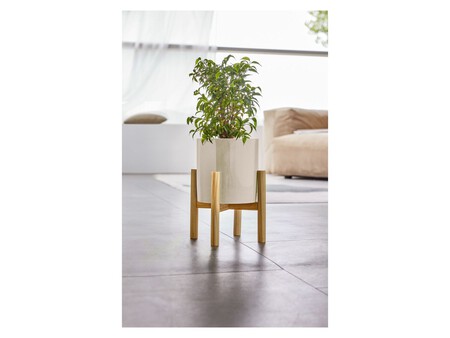 Maceta Con Soporte Zoom 25