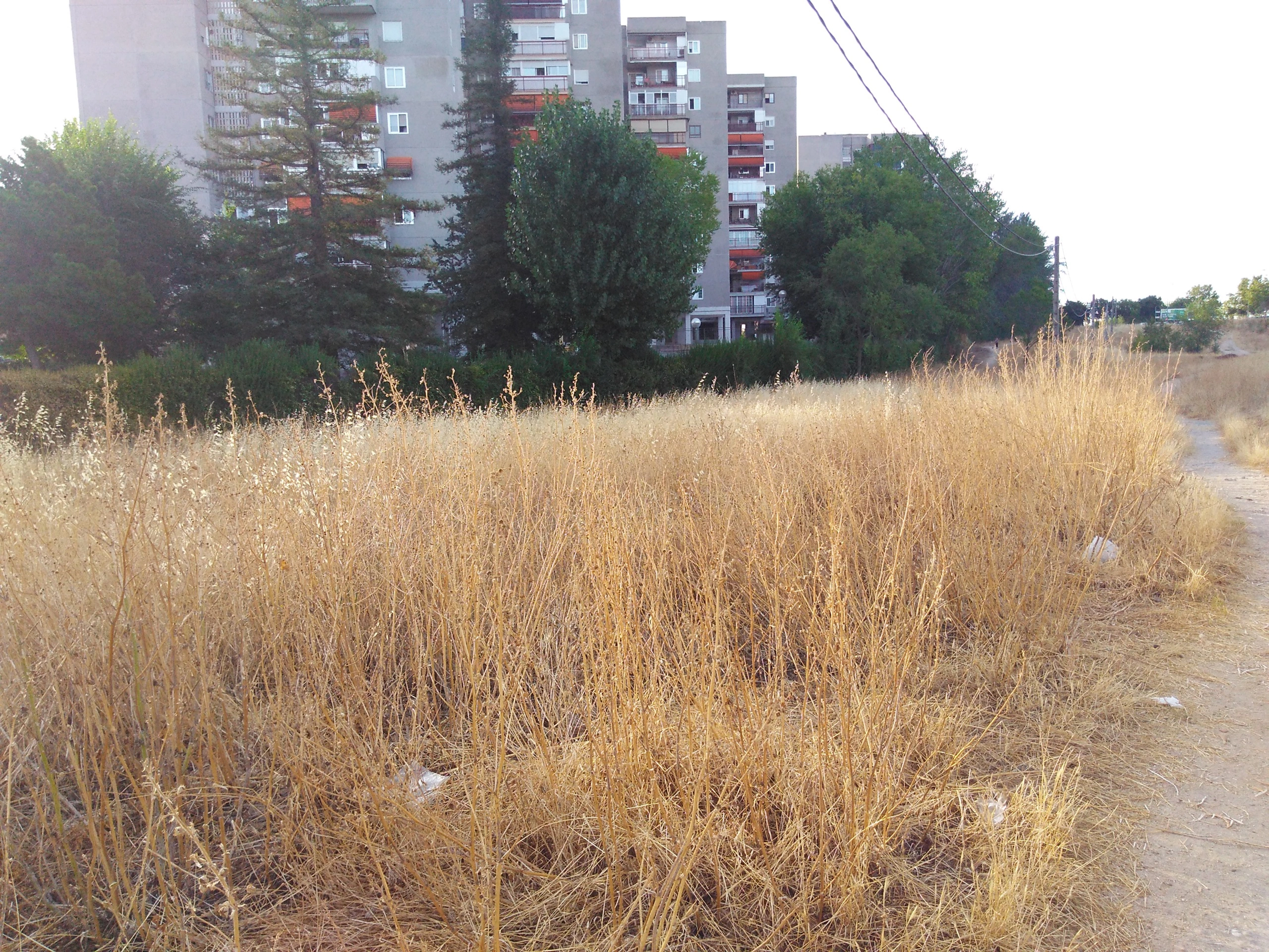 Foto de Fotos Moto G4 Play (6/9)